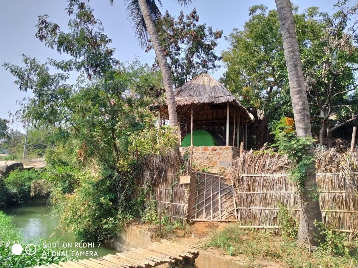 Drunken Monkey Camping Site Hotel Хампи Екстериор снимка